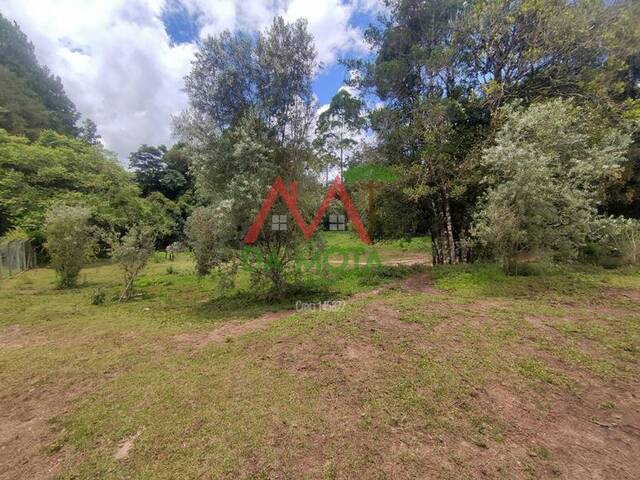 #549 - Área para Venda em Campos do Jordão - SP - 3