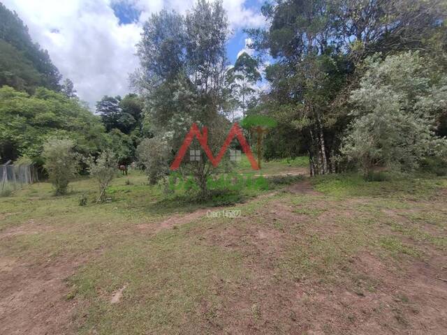 #549 - Área para Venda em Campos do Jordão - SP - 1