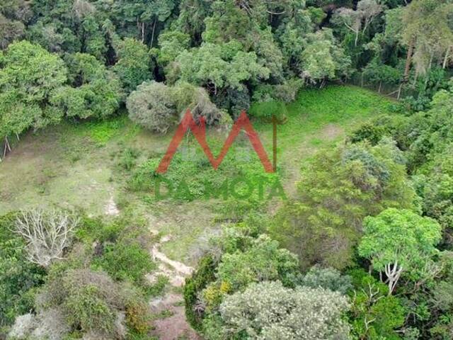 Área para Venda em Campos do Jordão - 4