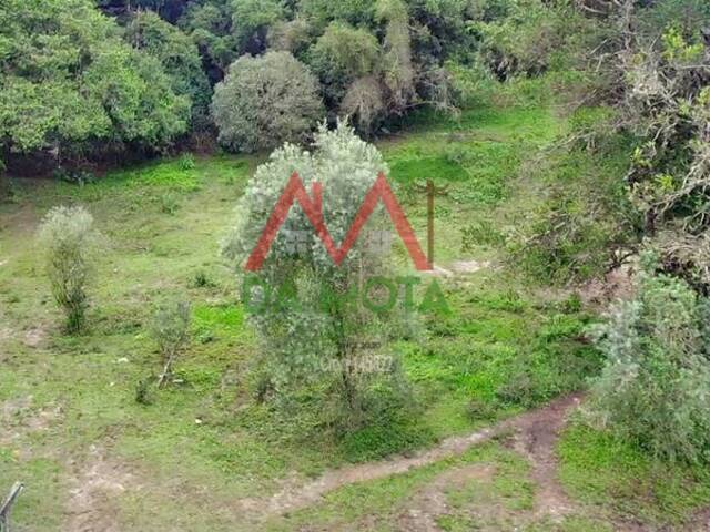 #549 - Área para Venda em Campos do Jordão - SP - 2