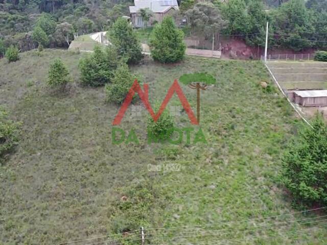#550 - Área para Venda em Campos do Jordão - SP - 3