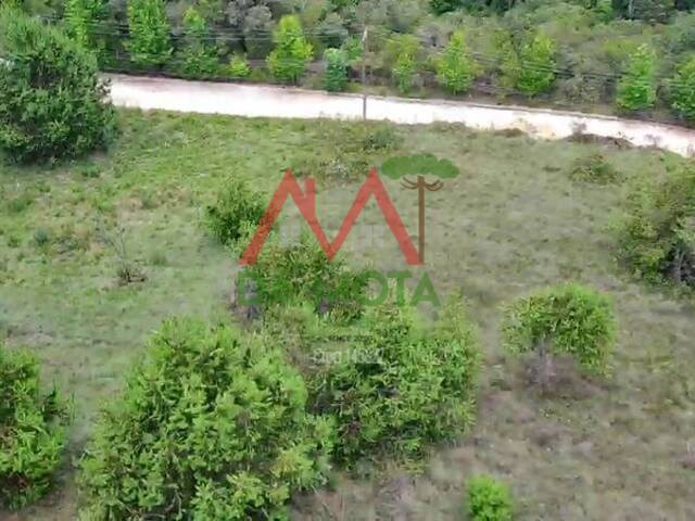 #550 - Área para Venda em Campos do Jordão - SP - 2