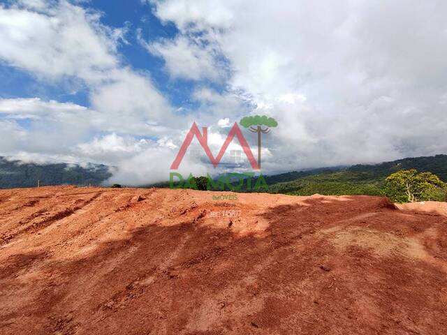 #551 - Terreno para Venda em Campos do Jordão - SP - 2