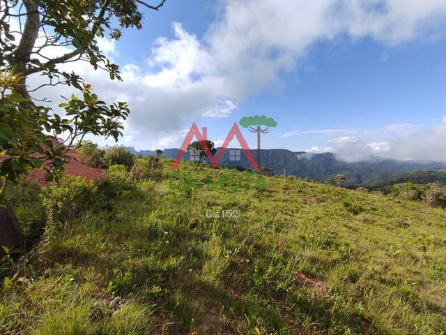 #551 - Terreno para Venda em Campos do Jordão - SP - 3