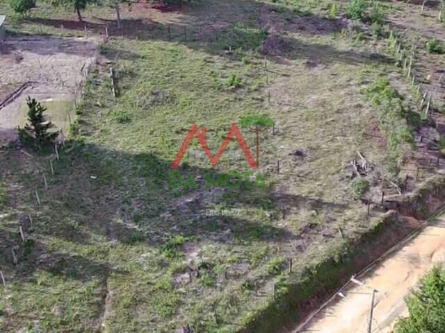 #552 - Terreno para Venda em Campos do Jordão - SP - 1