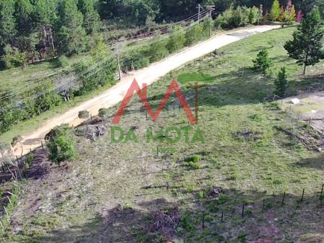 #552 - Terreno para Venda em Campos do Jordão - SP - 3