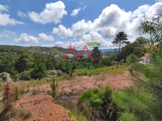 #553 - Terreno para Venda em Campos do Jordão - SP - 3