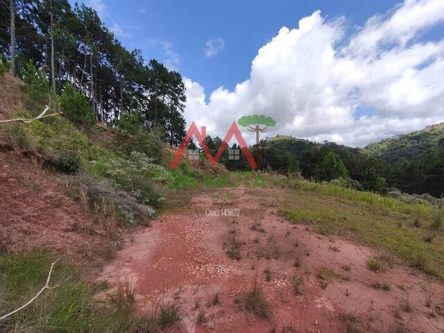 #553 - Terreno para Venda em Campos do Jordão - SP - 1