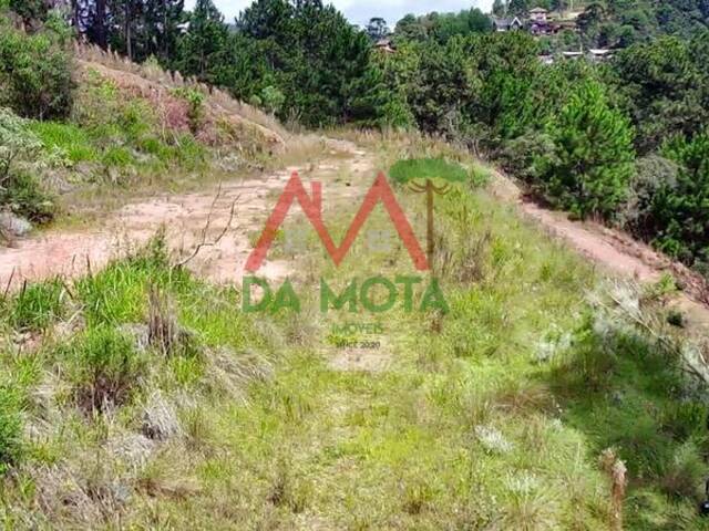 #553 - Terreno para Venda em Campos do Jordão - SP - 2