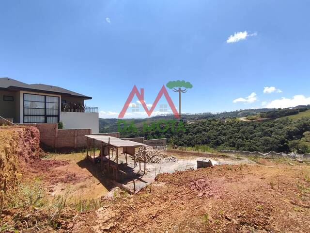 #554 - Terreno para Venda em Campos do Jordão - SP - 1