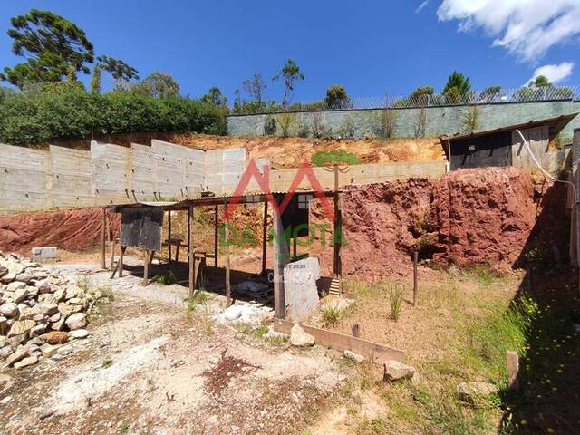 #554 - Terreno para Venda em Campos do Jordão - SP - 3