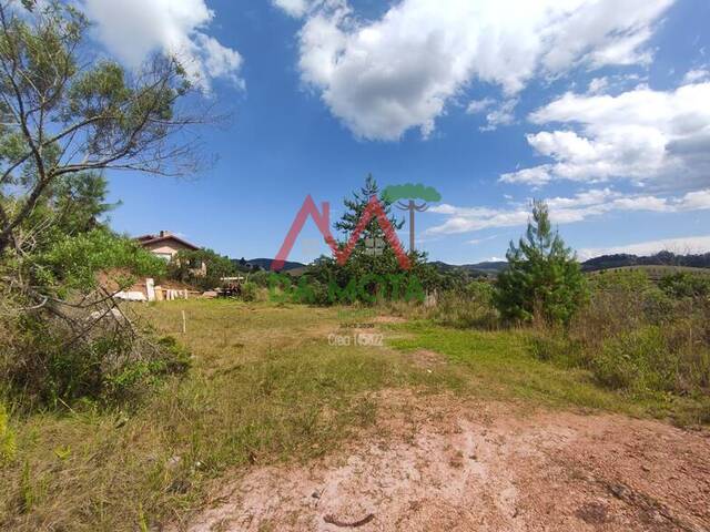 #561 - Terreno para Venda em Campos do Jordão - SP - 1