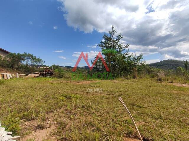 #561 - Terreno para Venda em Campos do Jordão - SP - 2