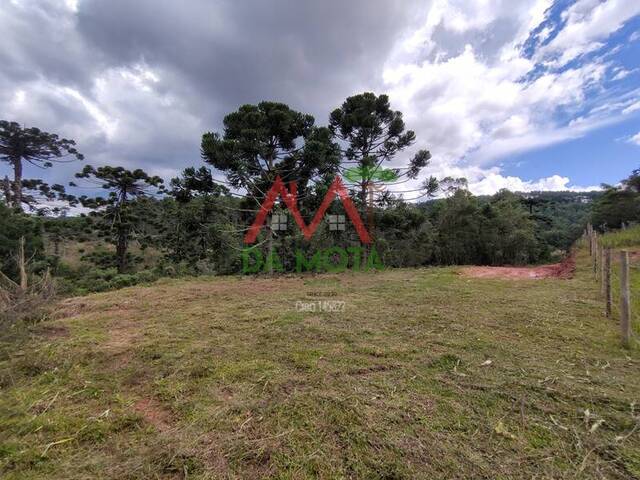 #565 - Terreno para Venda em Campos do Jordão - SP - 1
