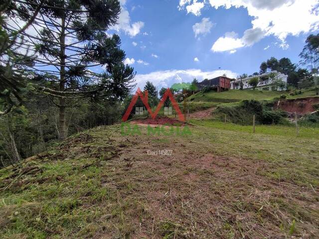 #565 - Terreno para Venda em Campos do Jordão - SP - 2