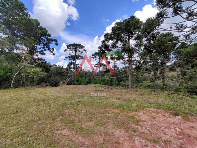 #565 - Terreno para Venda em Campos do Jordão - SP - 3