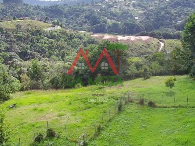 #568 - Terreno para Venda em Campos do Jordão - SP - 1