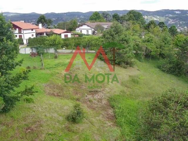#568 - Terreno para Venda em Campos do Jordão - SP - 2