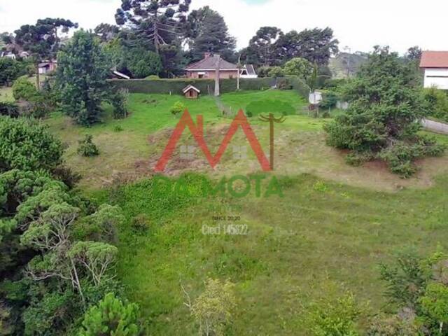 #568 - Terreno para Venda em Campos do Jordão - SP - 3