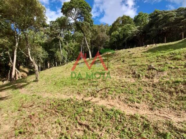 Terreno para Venda em Campos do Jordão - 5