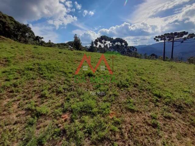 #577 - Terreno para Venda em Campos do Jordão - SP - 3