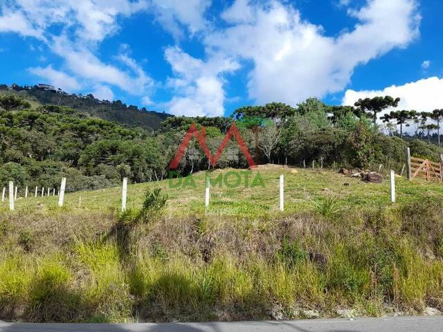 #577 - Terreno para Venda em Campos do Jordão - SP - 2
