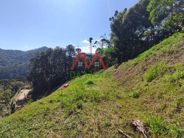 #137 - Terreno para Venda em Campos do Jordão - SP - 2