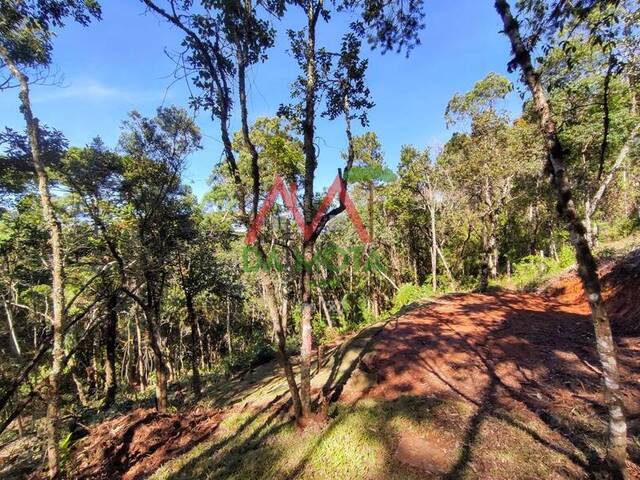 Terreno para Venda em Campos do Jordão - 4