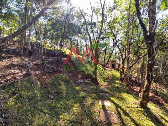 #591 - Terreno para Venda em Campos do Jordão - SP - 2