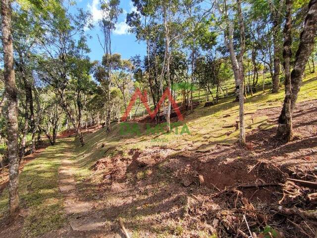 #591 - Terreno para Venda em Campos do Jordão - SP - 3
