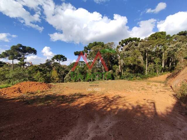 Terreno para Venda em Campos do Jordão - 4