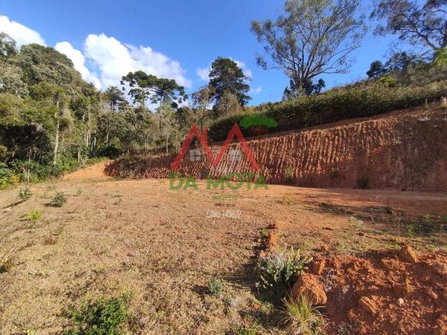 #595 - Terreno para Venda em Campos do Jordão - SP - 3
