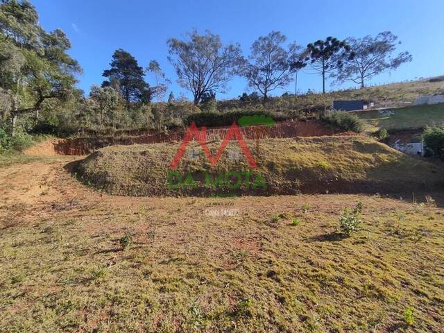#595 - Terreno para Venda em Campos do Jordão - SP - 2