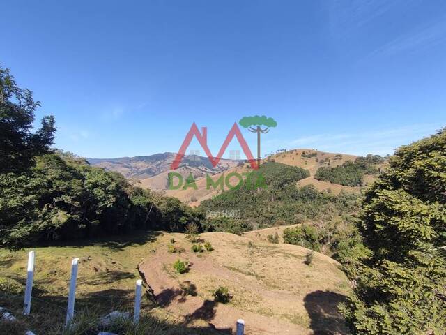 Sítio para Venda em Campos do Jordão - 4