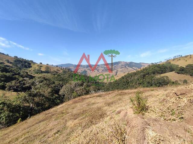 Venda em Piranguçu - Campos do Jordão