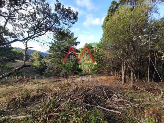 #599 - Terreno para Venda em Campos do Jordão - SP - 3