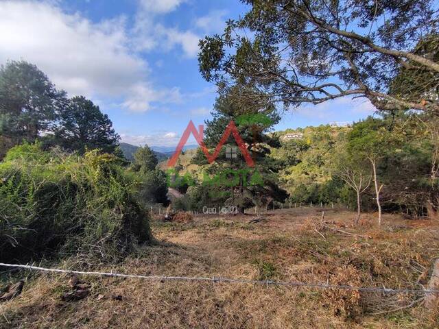 #599 - Terreno para Venda em Campos do Jordão - SP - 2