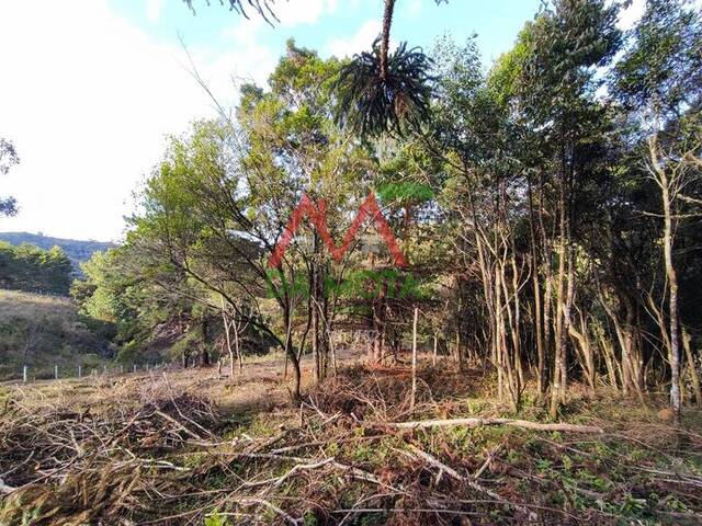 Terreno para Venda em Campos do Jordão - 4