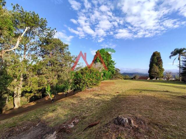 #610 - Casa para Venda em Campos do Jordão - SP - 2