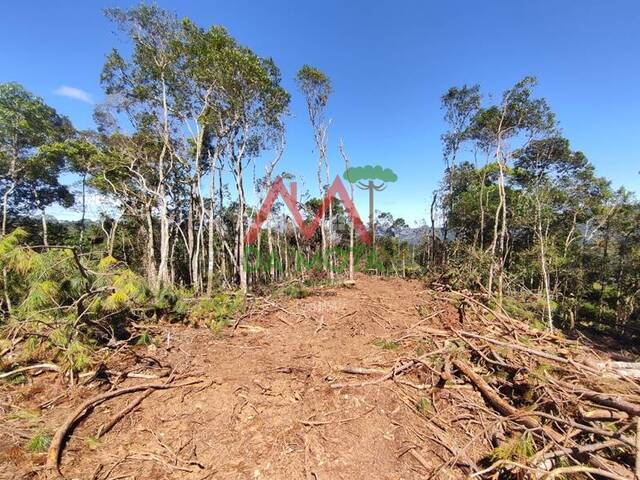 #617 - Terreno em condomínio para Venda em Campos do Jordão - SP - 3