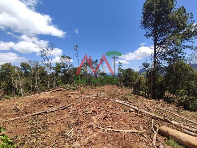 Terreno em condomínio para Venda em Campos do Jordão - 5