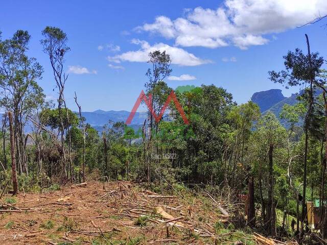 #617 - Terreno em condomínio para Venda em Campos do Jordão - SP - 2