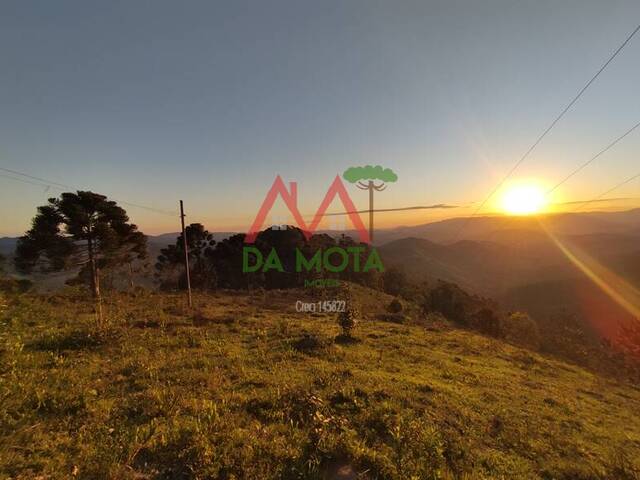 #585 - Fazenda para Venda em Campos do Jordão - SP - 3