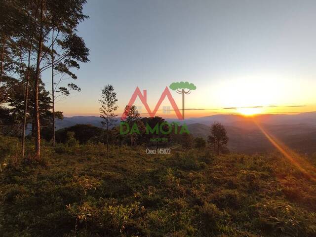 #585 - Fazenda para Venda em Campos do Jordão - SP - 1