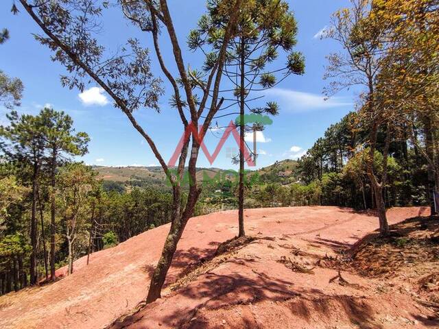 Venda em Descansópolis - Campos do Jordão