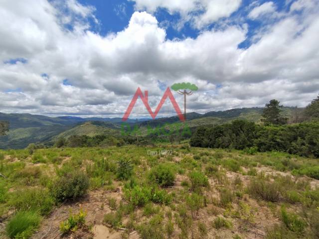 #629 - Terreno para Venda em Campos do Jordão - SP - 2