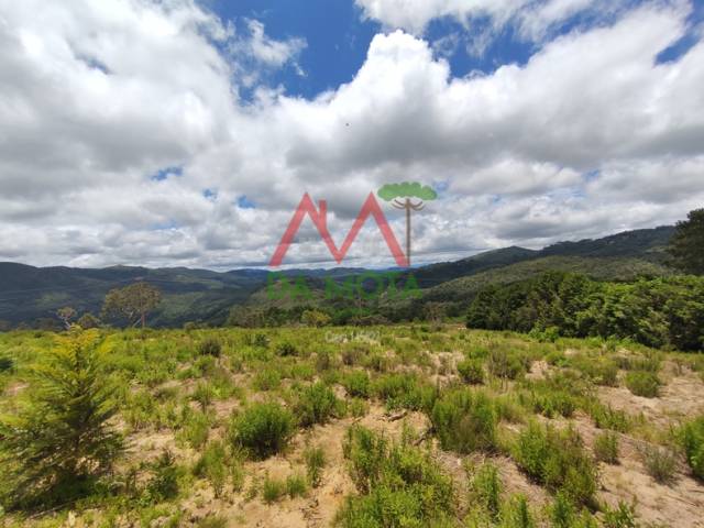 #629 - Terreno para Venda em Campos do Jordão - SP - 3