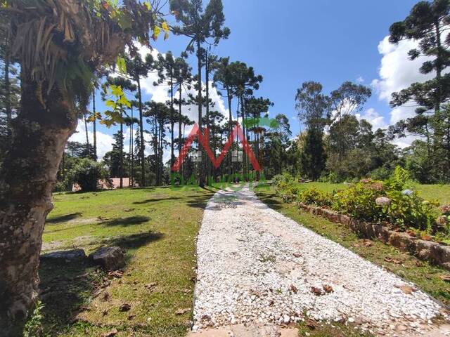 Casa para Venda em Campos do Jordão - 5
